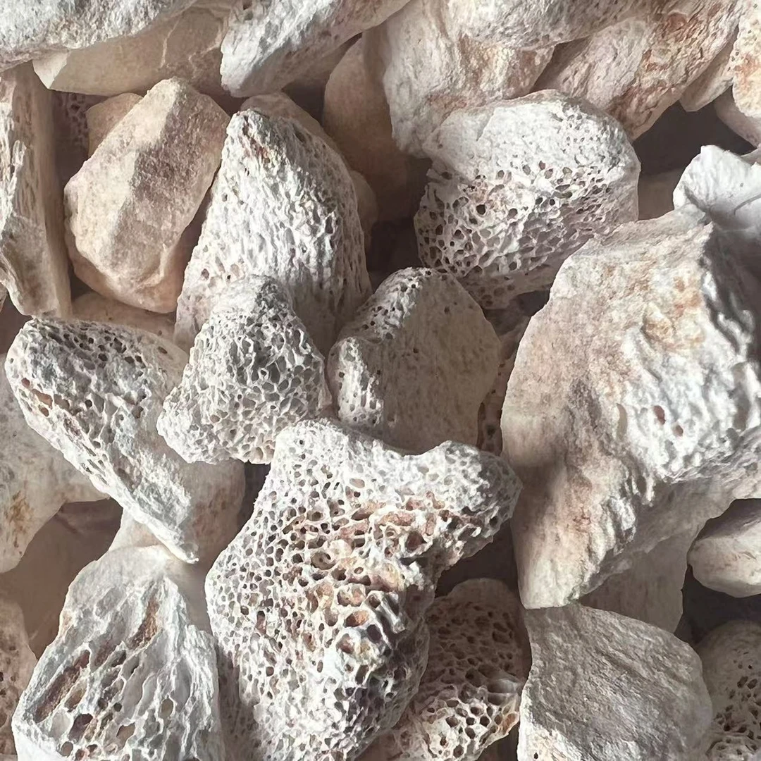 云南深山好物--龙骨-参