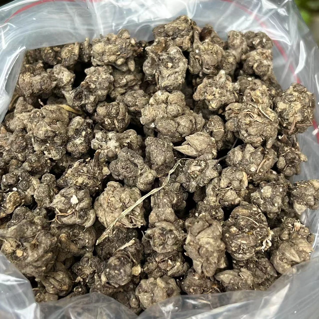 云南深山好物【猫爪草参】