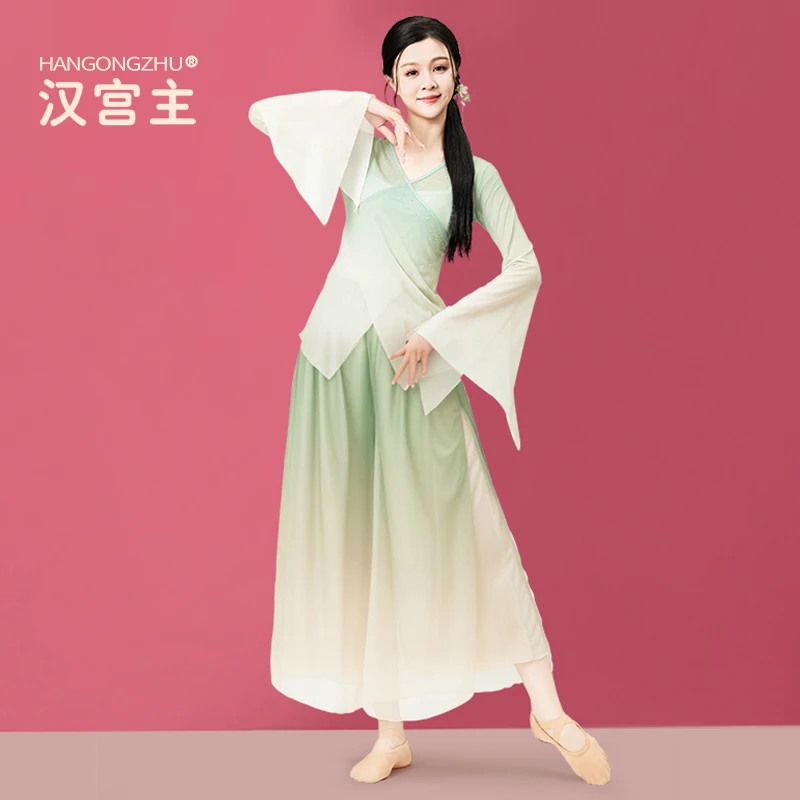 汉宫主飘逸古典舞服仙气纱衣中国舞练功服艺考演出舞蹈服套装成人