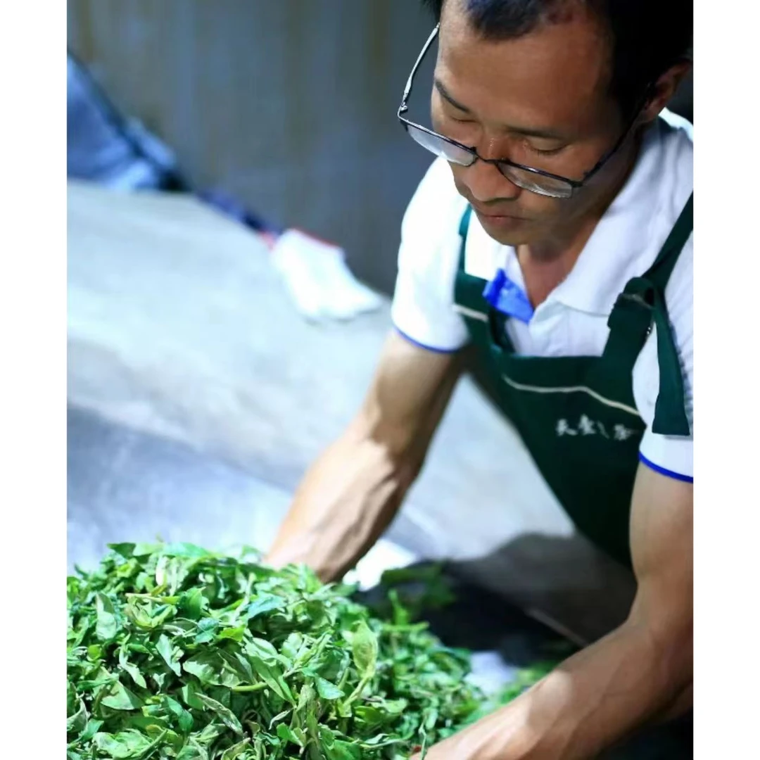 tian yi ming/天壹茗2024 年六一八套餐代替链接纯手工普洱茶饼生