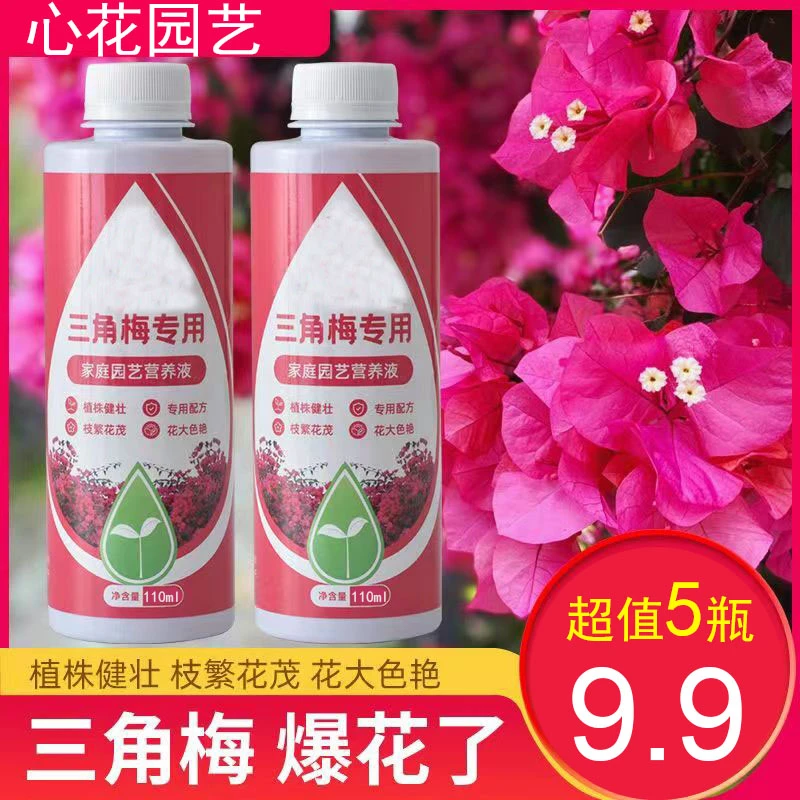 抢！【到手5瓶】三角梅专用肥绿植物营养液腊梅盆栽促开花养花通用型