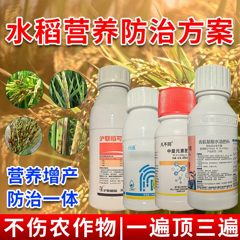 水稻正专用营杀养增产品防治三病纹枯病菌稻瘟稻曲病农剂用水溶肥
