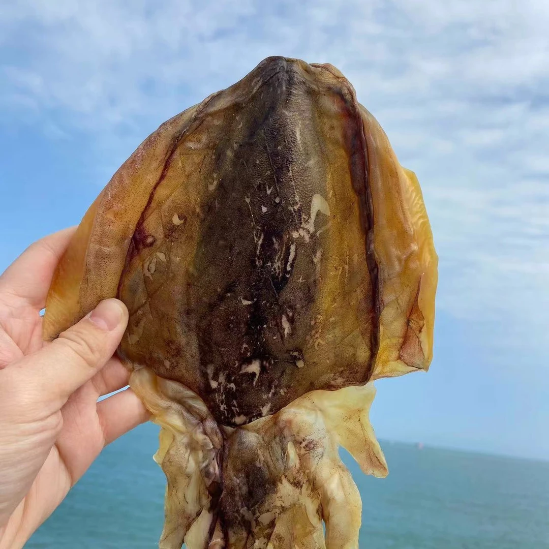 东山岛特产海鲜淡晒无盐木目鱼干大中淡水干墨鱼干货特级大乌贼干