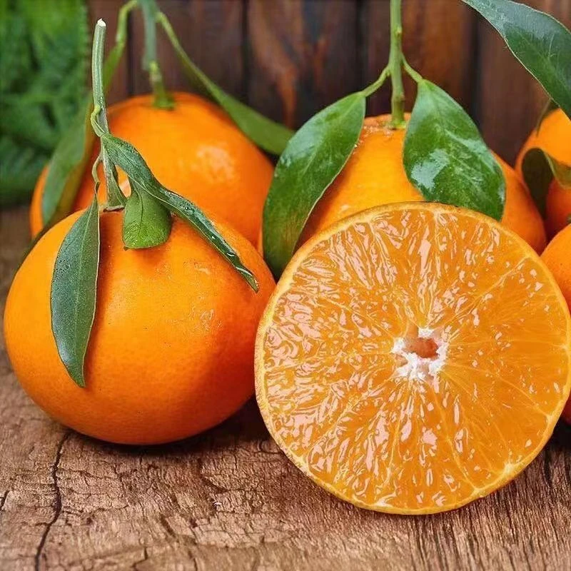 今想爱媛果冻橙礼盒装/箱7.8斤左右