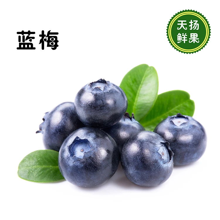 云南新蓝莓2盒/份250g