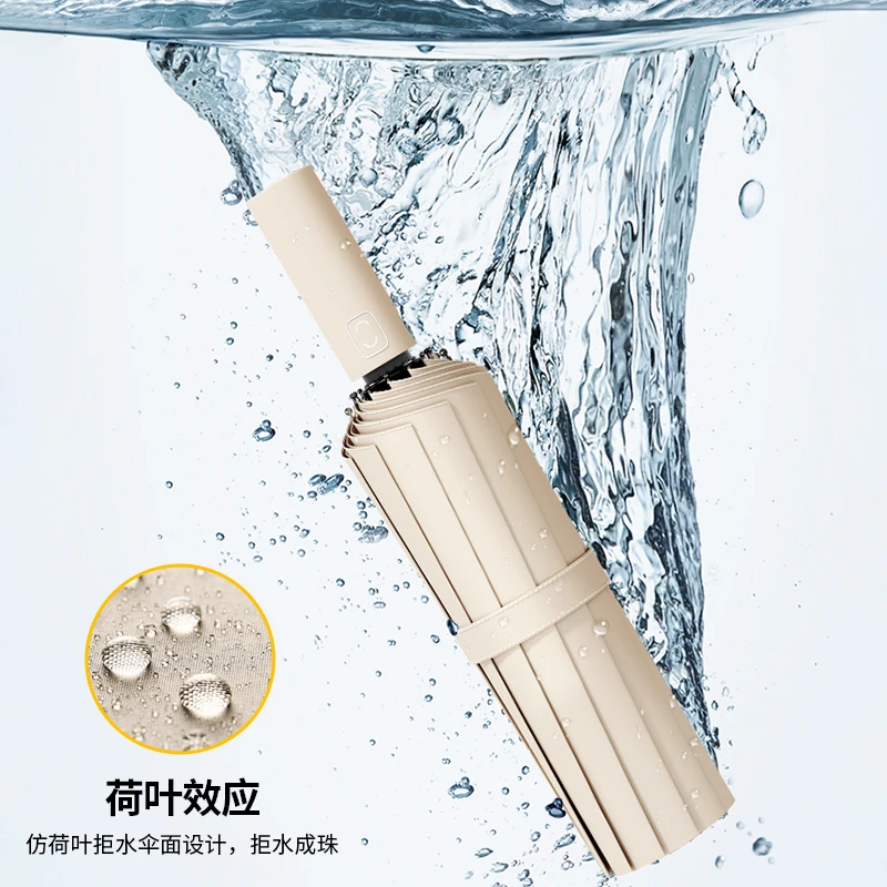 12骨双骨全自动伞纯色晴雨两用黑胶防晒遮太阳伞