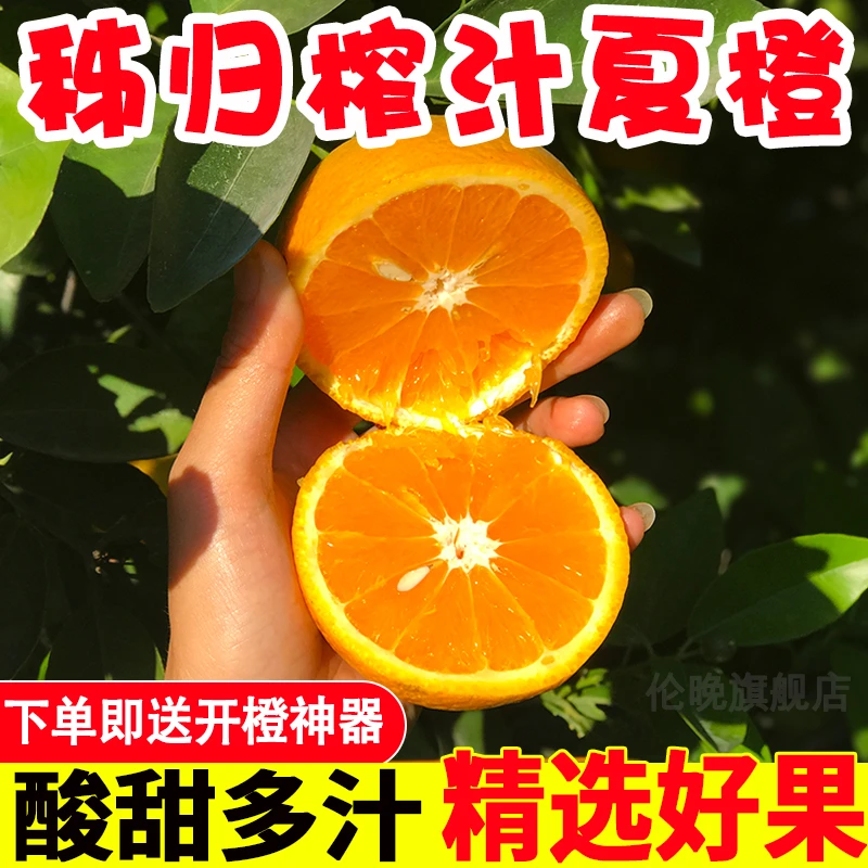 湖北宜昌秭归夏橙 9斤装小果60-65mm