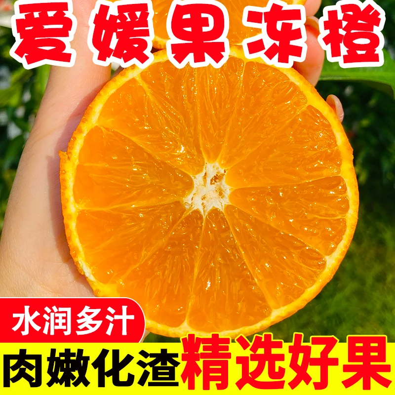 四川眉山爱媛38号果冻橙 净重4.5斤/8斤
