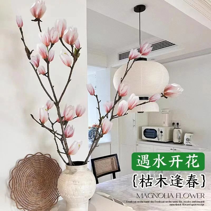 【调性年宵花】玉兰花鲜枝带花苞水培植物室内好养易活森系植物
