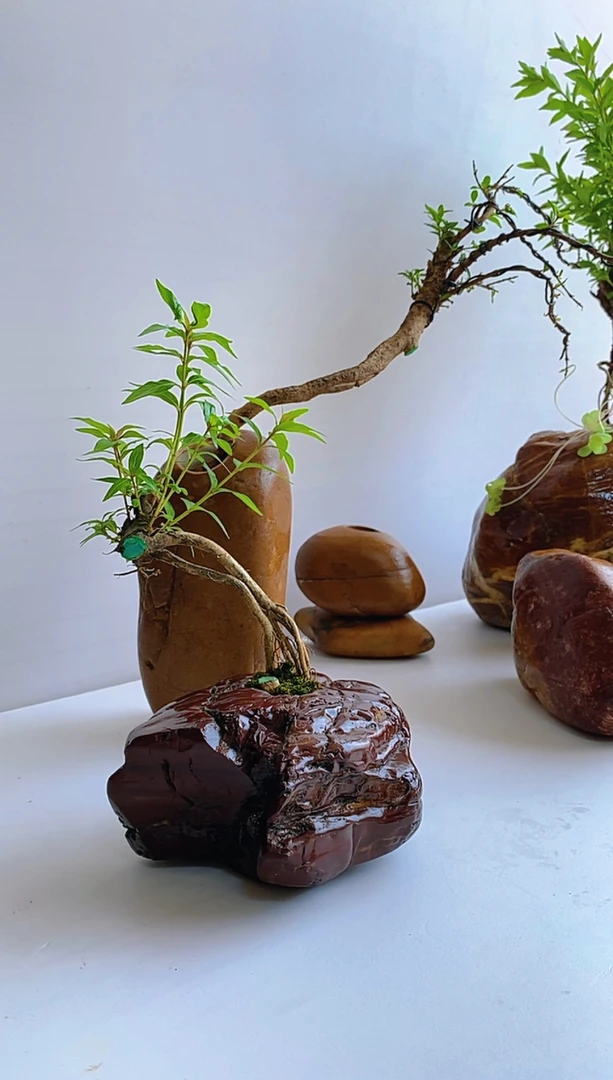 石头鹅卵石金钱草绿萝水杨梅水培鲜花干花花盆花器插花瓶