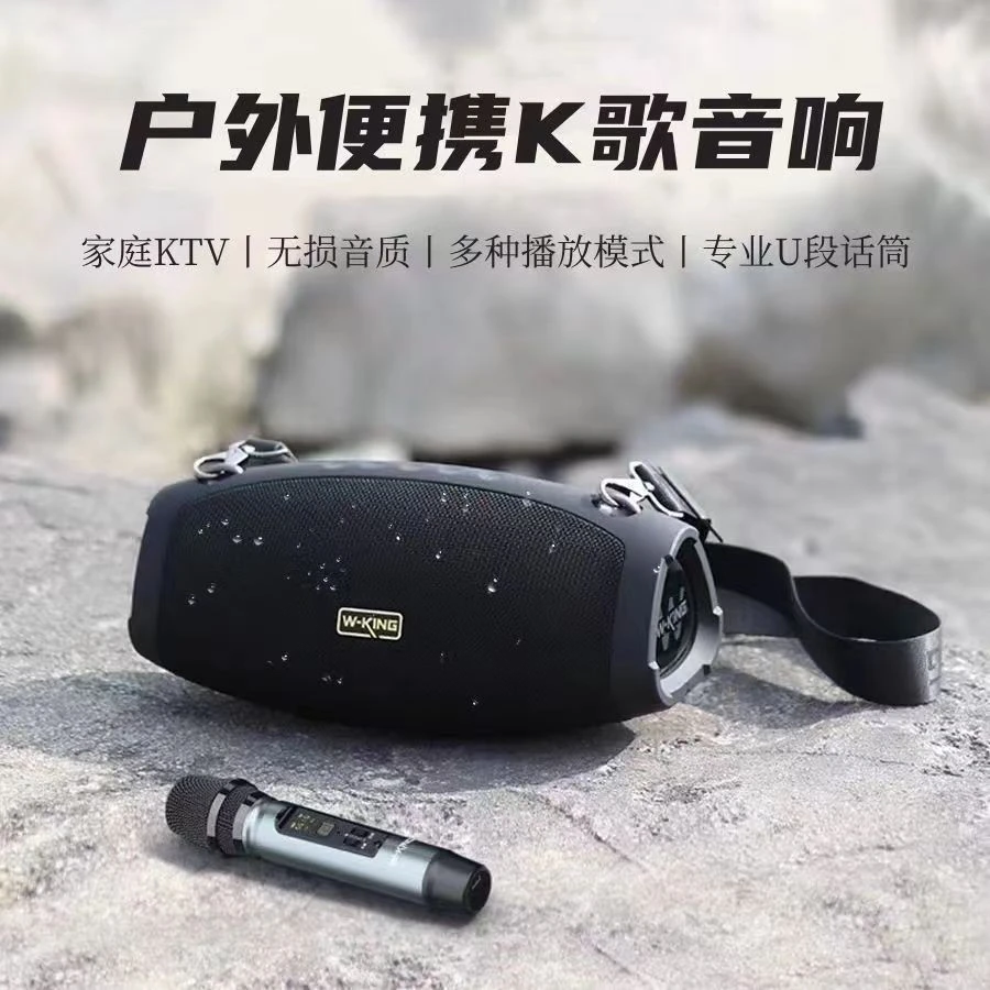 维尔晶D10+户外移动手提音箱背带战鼓重低音大音量立体声k歌维妙