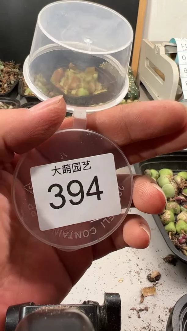 【闪购商品】----394
