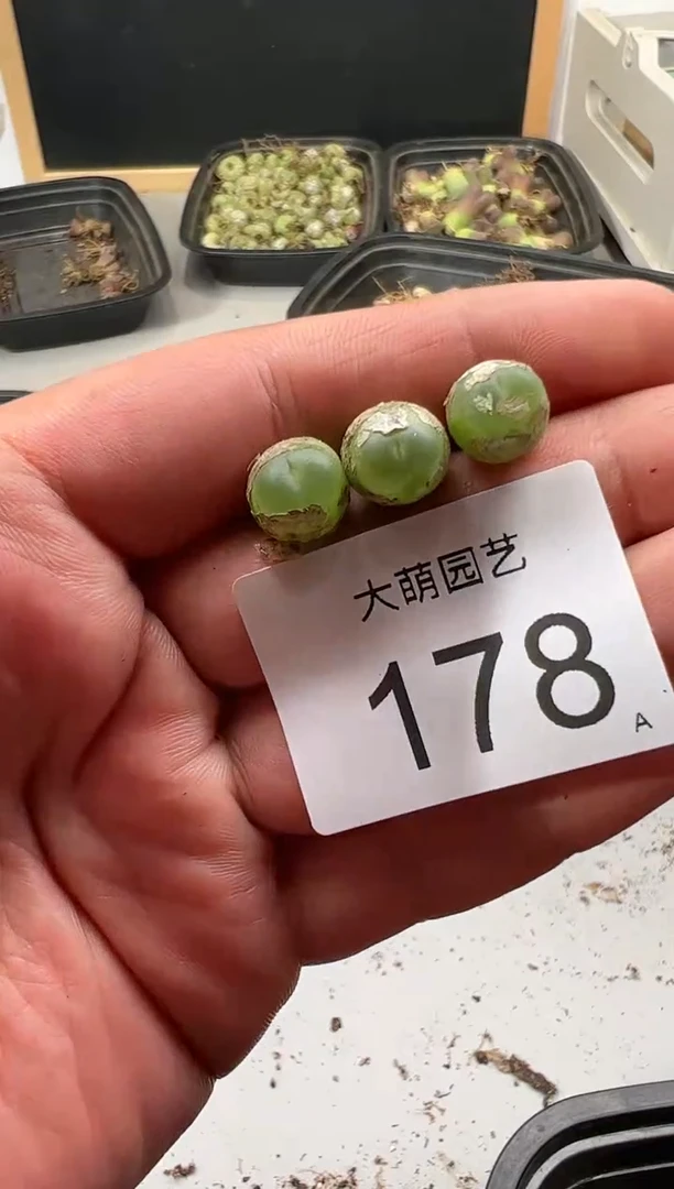 【闪购商品】----178