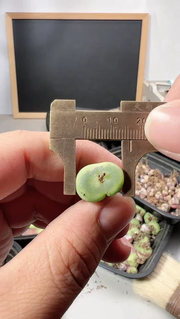 【闪购商品】-----410