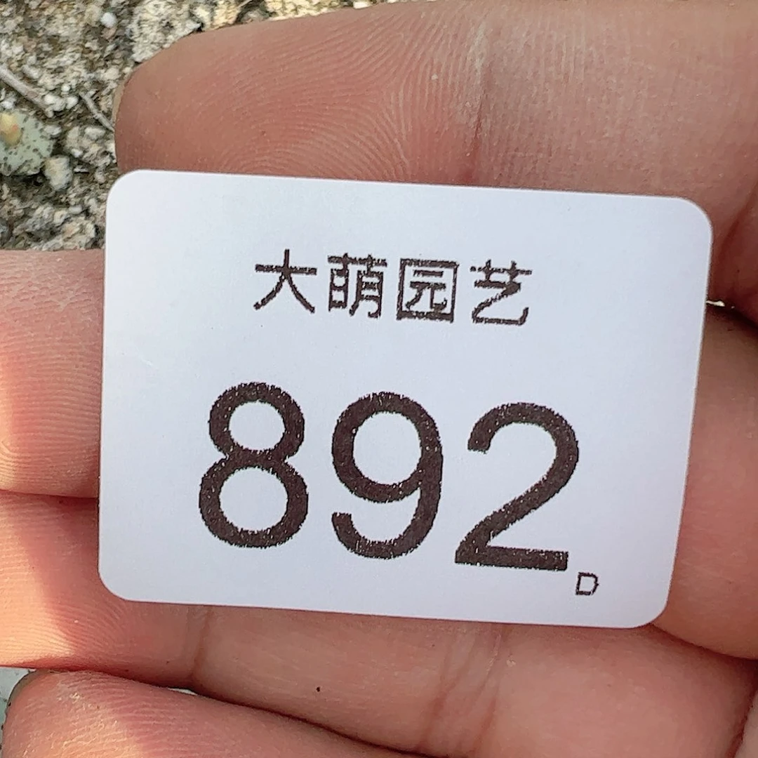 0000892 清框脱土发无售后