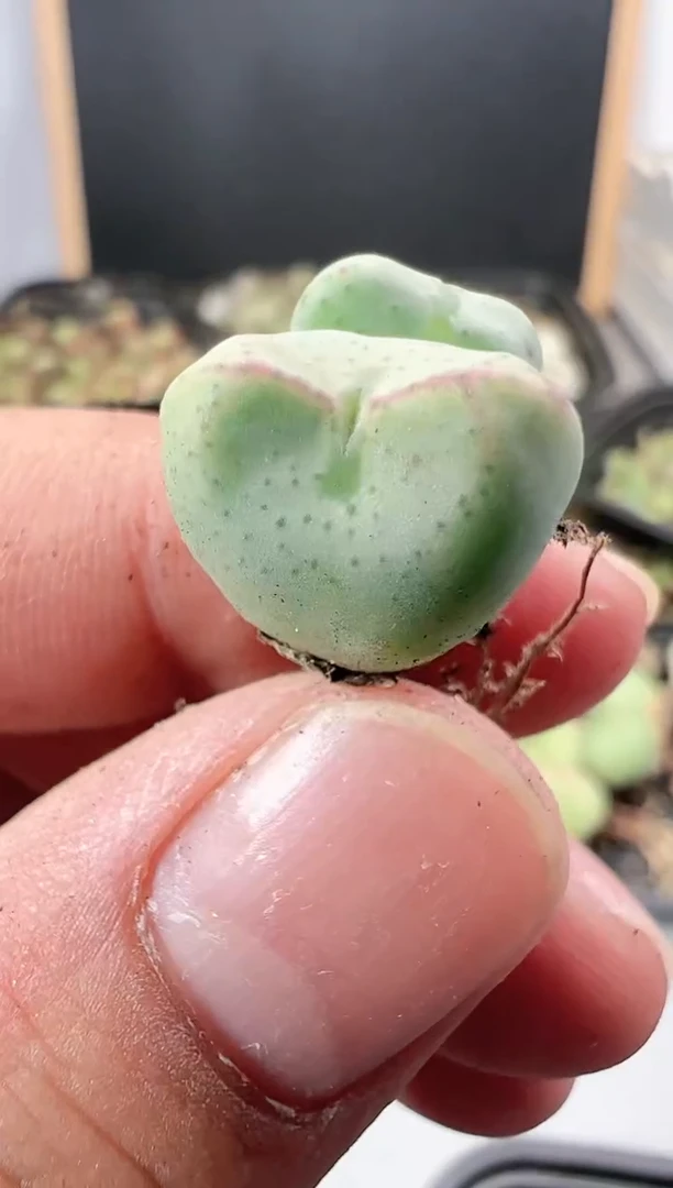 【闪购商品】----122