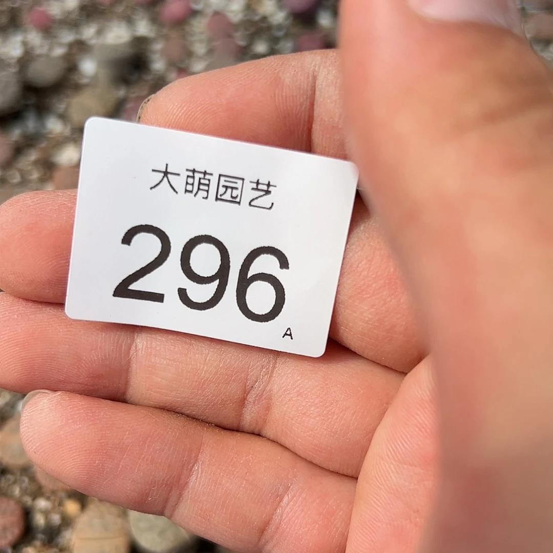 0000296 清框脱土发无售后