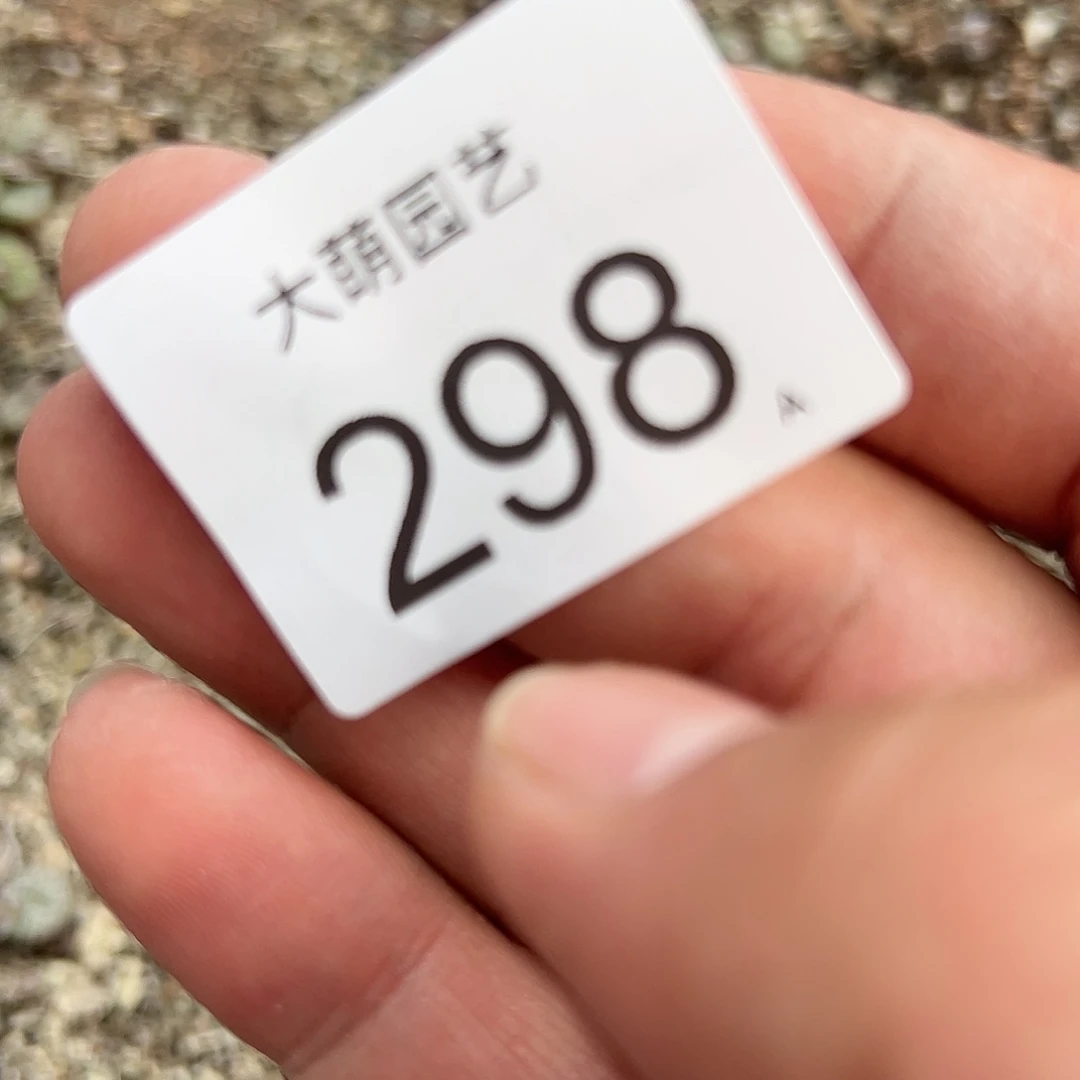 0000298 清框脱土发无售后