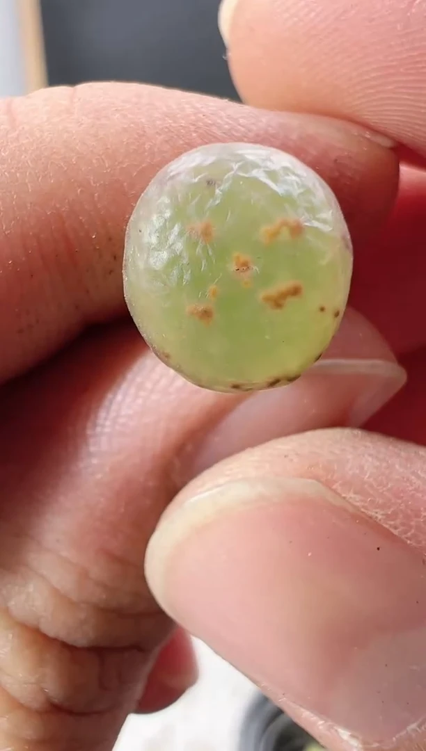 【闪购商品】----481