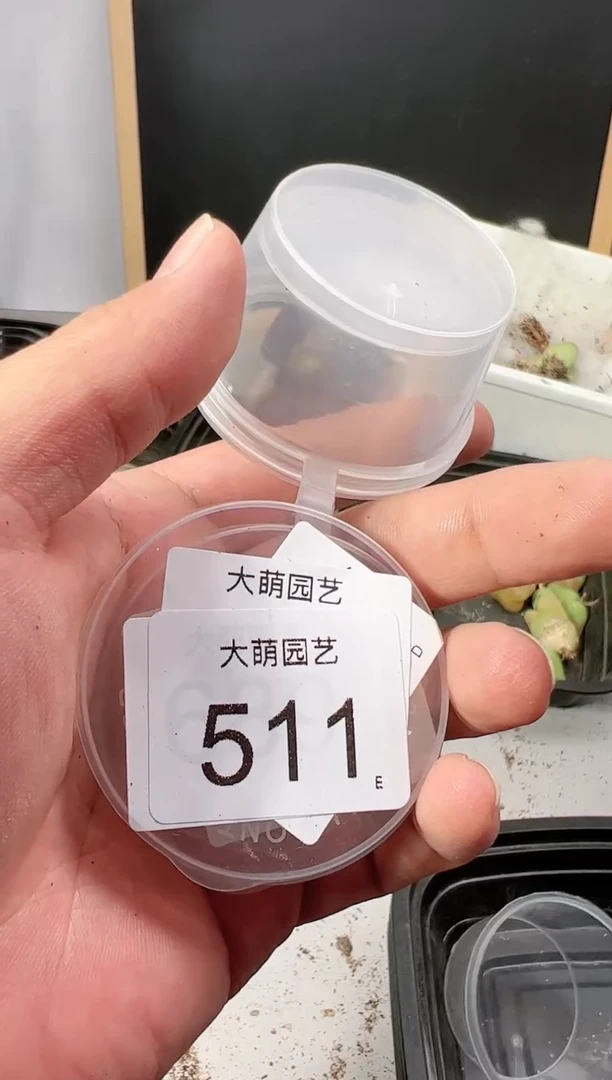 【闪购商品】----511