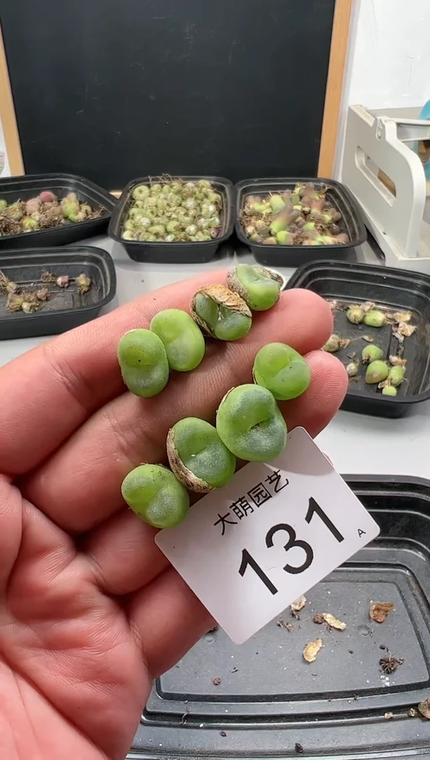 【闪购商品】-----131