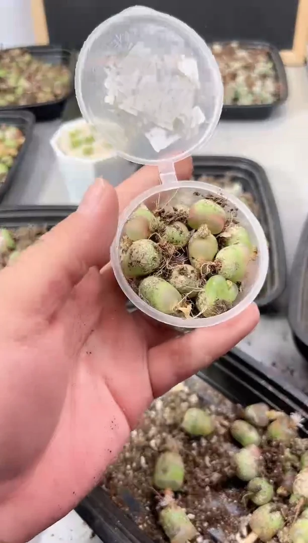 【闪购商品】----316