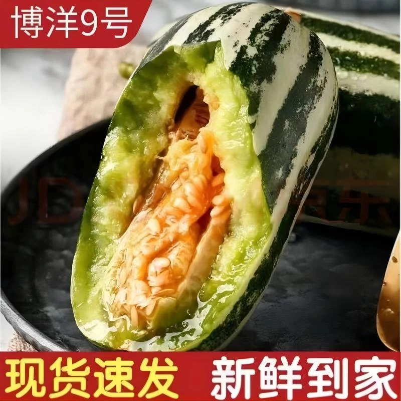 《顺丰》山东博洋九羊角蜜甜瓜脆甜可口，新鲜采摘现货净重3斤