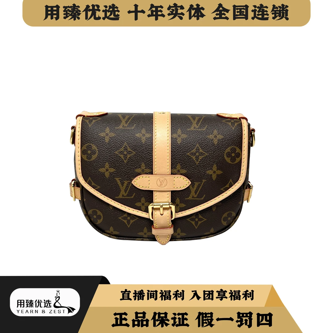 99新 LouisVuitton/路易威登 lvsaumur双子星bb/芯片款/AI3844495