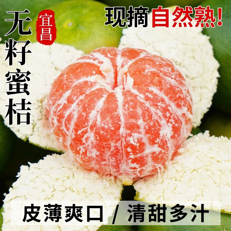 新鲜蜜桔青皮采摘当季孕妇水果皮薄酸甜宜昌蜜橘早熟桔子现摘现发