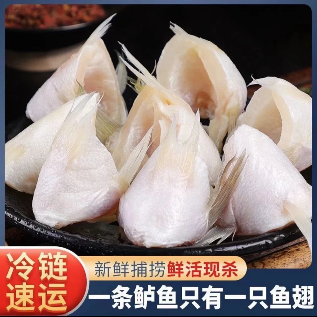 连云港 新鲜现切鲈鱼翅 250g/包