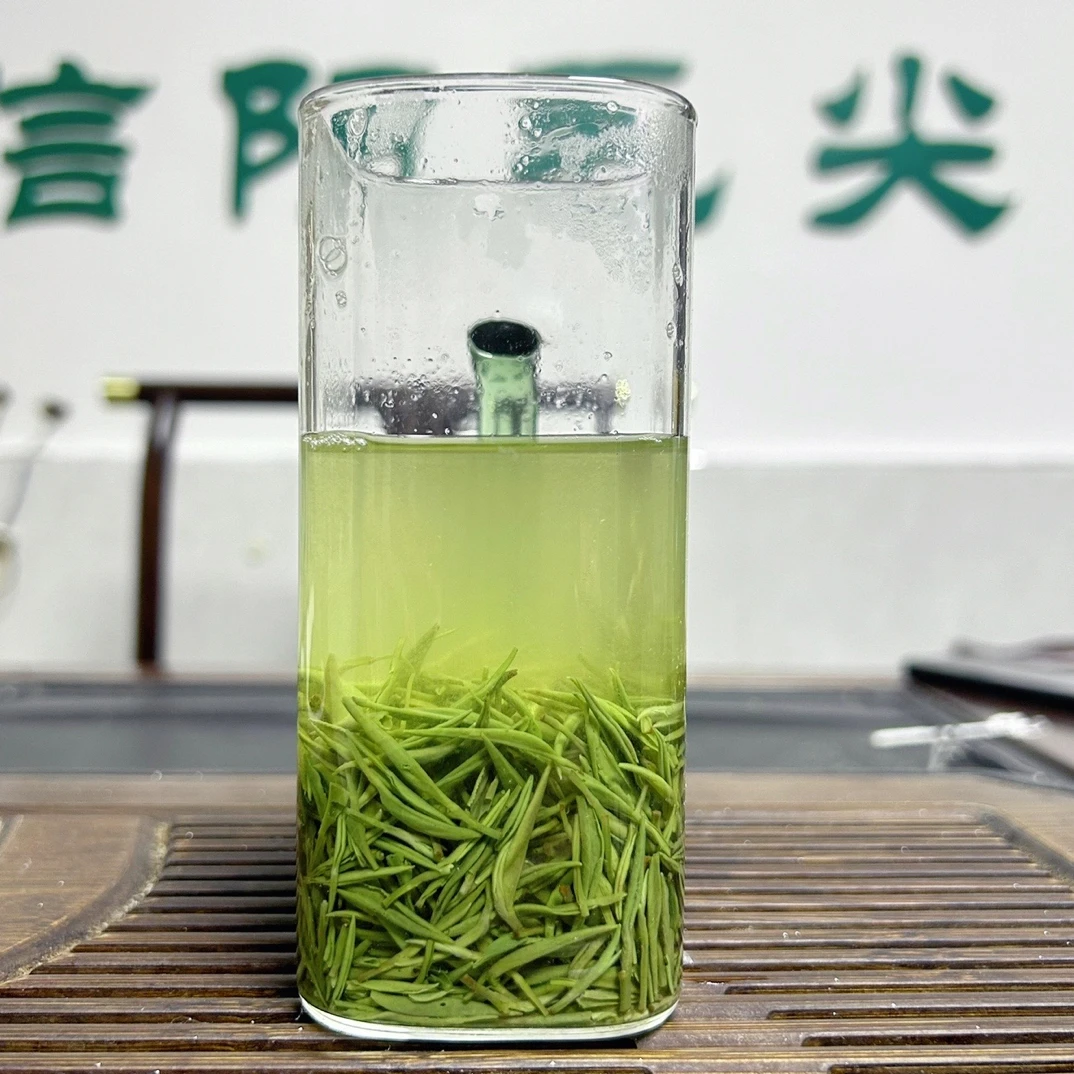【福利款早春芽芯】天云寨信阳毛尖2025年新茶福利款早春嫩芽