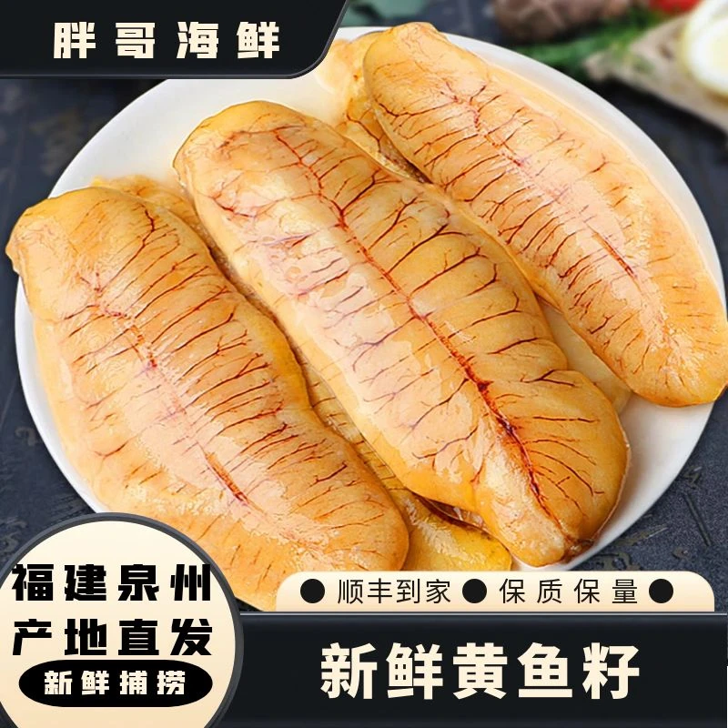 胖哥海鲜【黄花鱼籽】福建祥芝本港海鲜  顺丰冷链发货