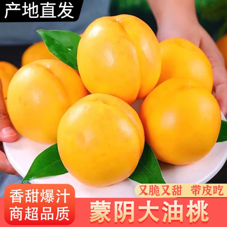 【只做精品】山东蒙阴黄金油桃蒙阴蜜桃脆甜多汁现摘现发夏日尝鲜