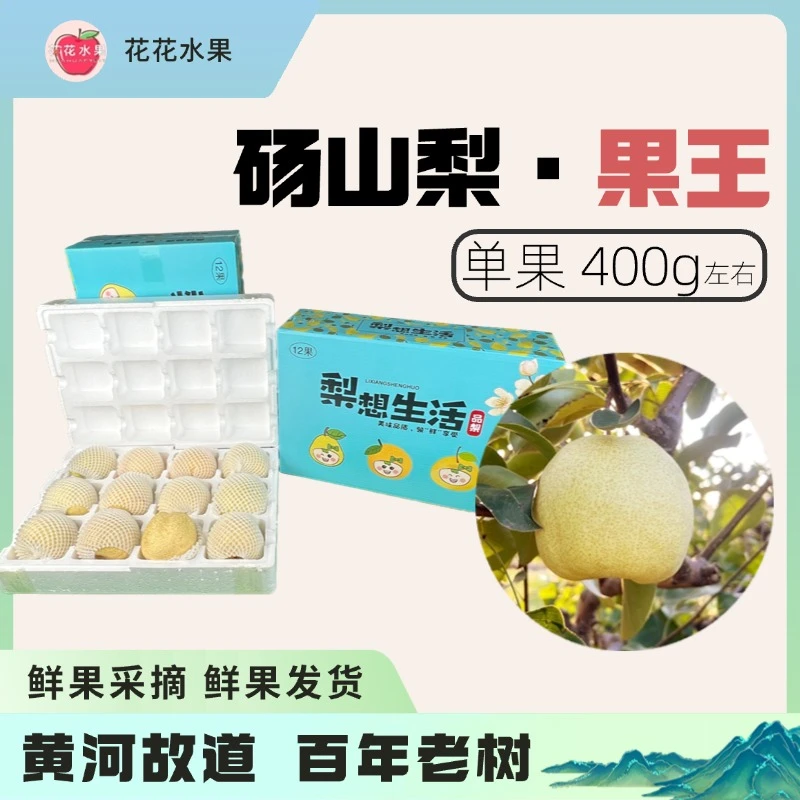花花水果 ｜ 2024新鲜采摘正宗砀山酥梨脆甜多汁细腻皮薄 礼盒
