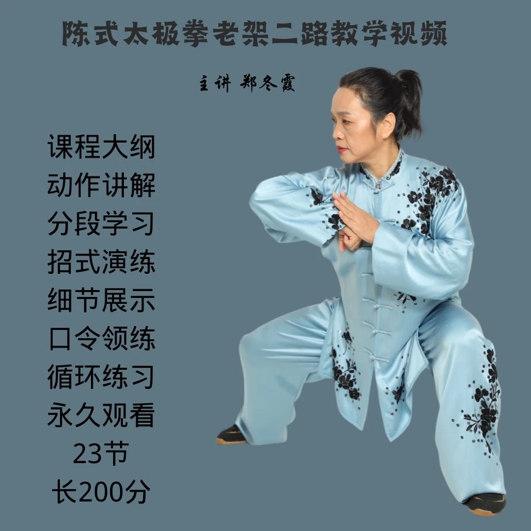 陈式太极拳老架二路教学视频