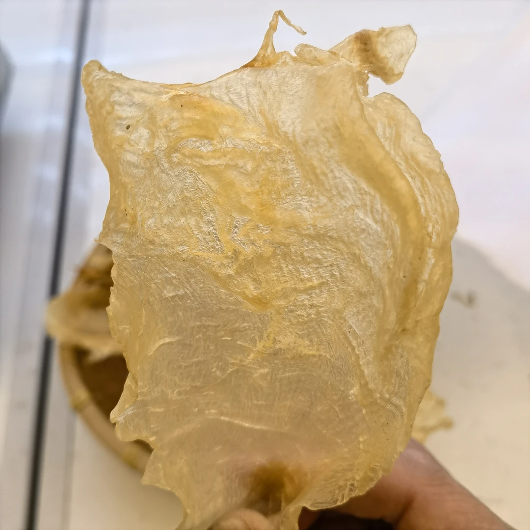 斗湖公 斗湖 口感爽脆 养胃