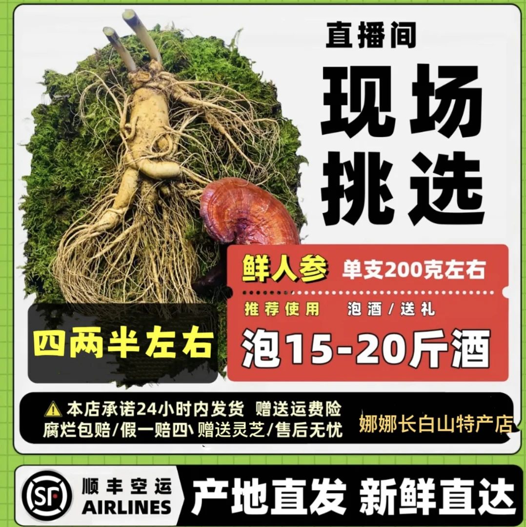 QUE LIAN/雀涟精选长白山新鲜人参 大参 整支泡酒 送礼 顺丰包邮