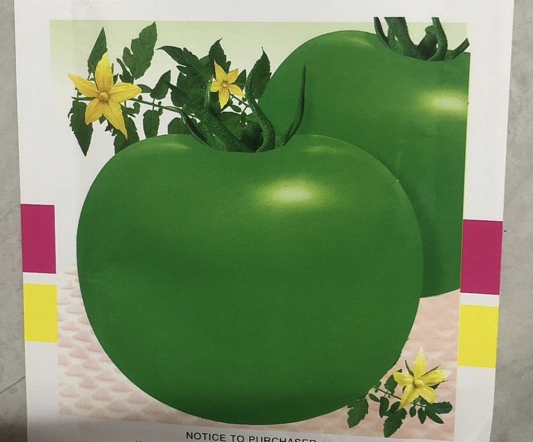 贼不偷柿子种子籽