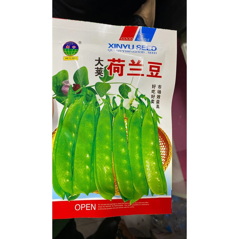 鑫宇大荚荷兰豆籽