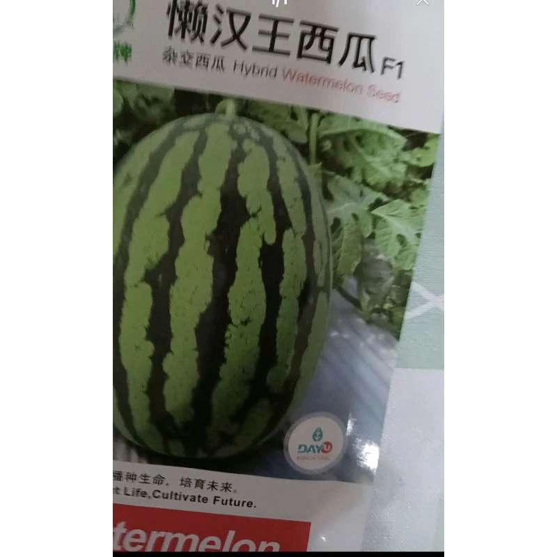 懒汉西瓜籽水果西瓜专用西瓜种子懒汉西瓜籽