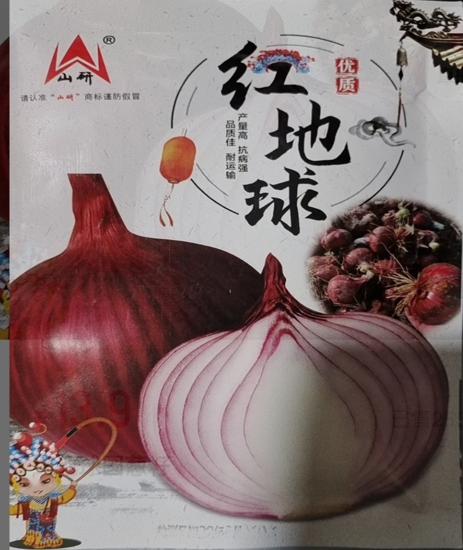紫皮洋葱种子新品上市