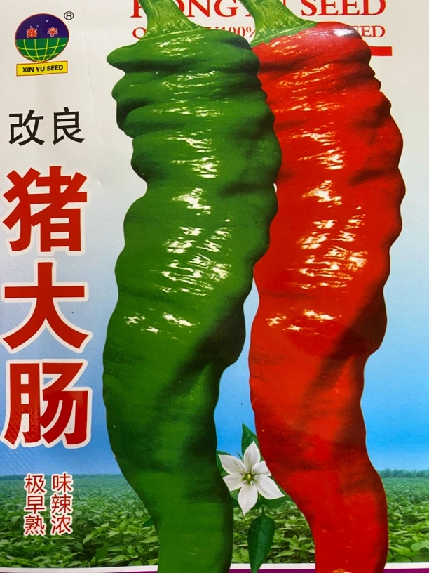 猪大肠螺丝辣椒籽
