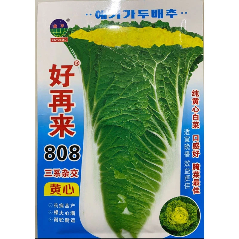 好再来808高颗大白菜籽三系杂交