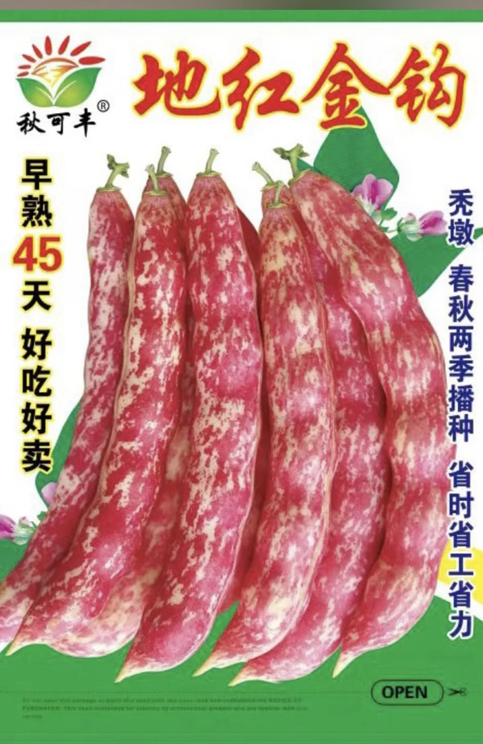 地红金钩（不搭架）适合北方种植