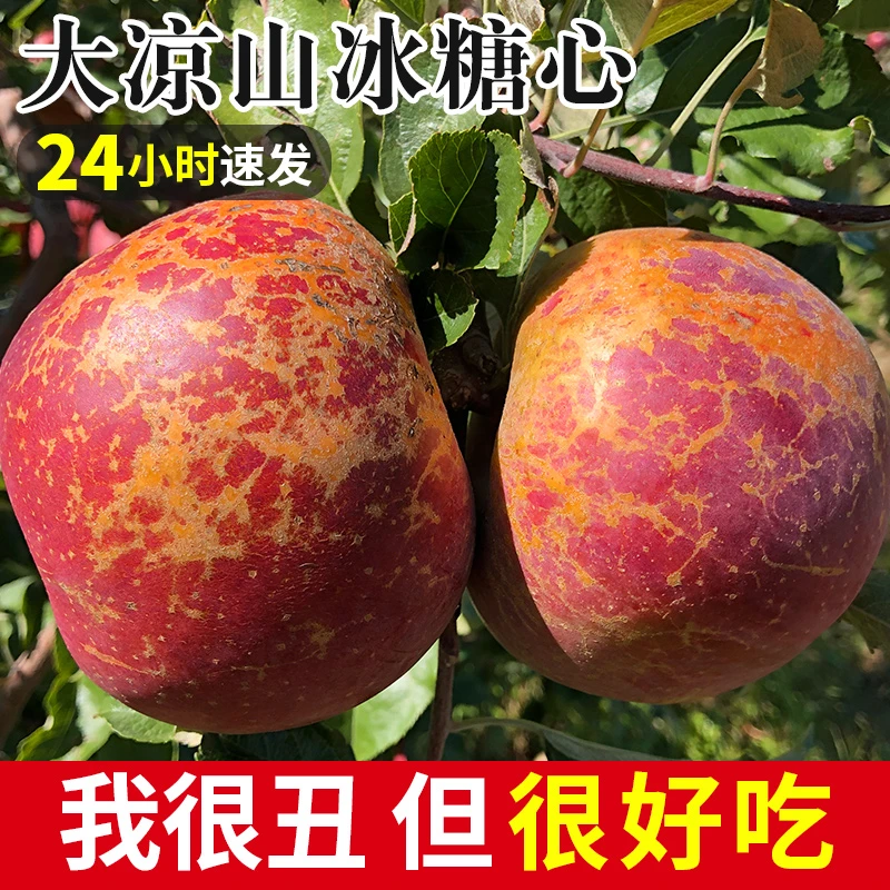 【乐多】正宗昭通丑苹果当季的新鲜冰糖心苹果整箱水果四川大凉山丑