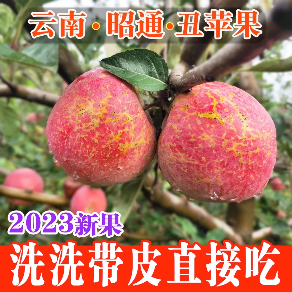 【乐多】云南昭通丑苹果冰糖心当季新鲜水果红润香甜苹果3/5/现摘现