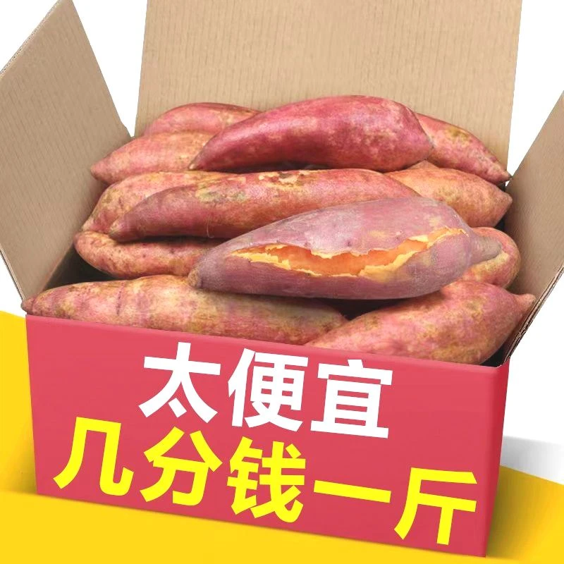 【乐多】】沙地蜜薯红薯新鲜现挖板栗薯糖心西瓜红番薯地瓜批发