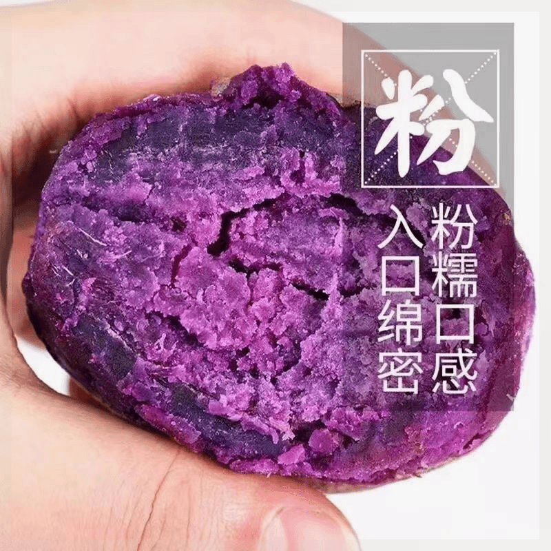 【乐多】应季新鲜紫罗兰沙地紫薯新鲜小个农家自种现挖低脂地瓜非越