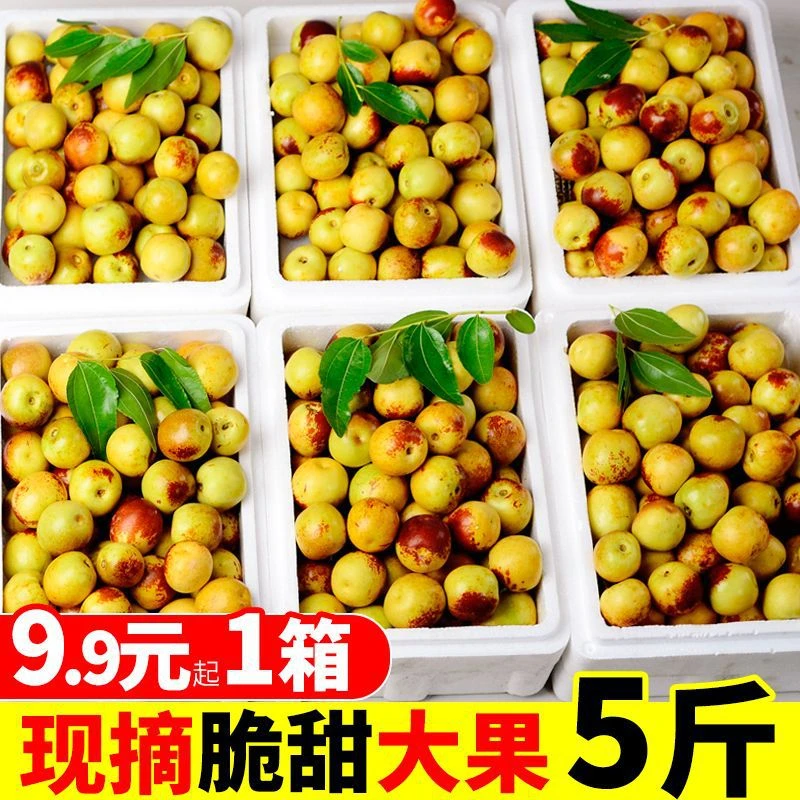 【乐多】脆甜冬枣新鲜水果超甜大果陕西大荔正宗大红枣子青枣当季整