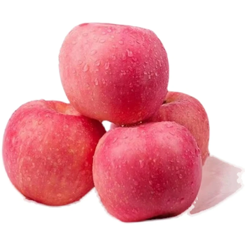 【乐多】今年新果】陕西新鲜脆甜红富士苹果应季水果批发冰糖心苹果